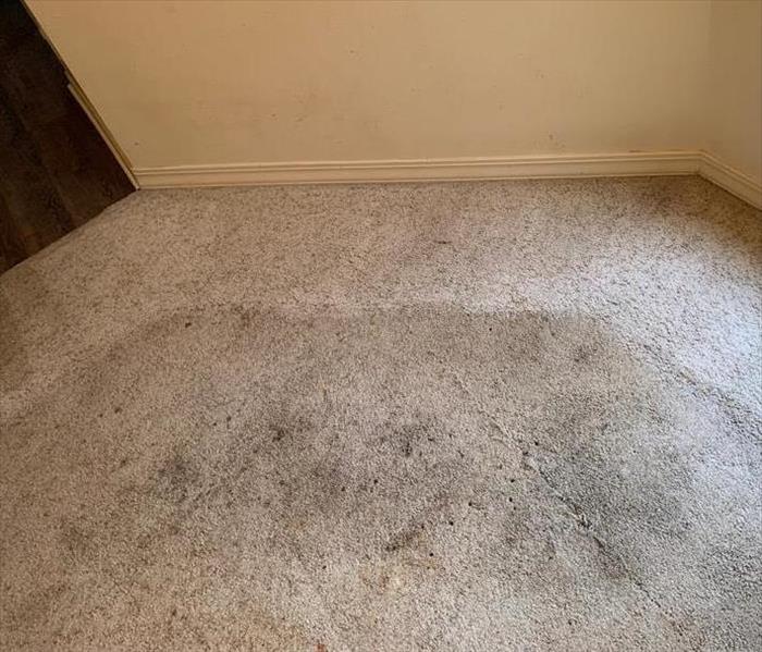 A dirty, stained carpet before a cleaning.