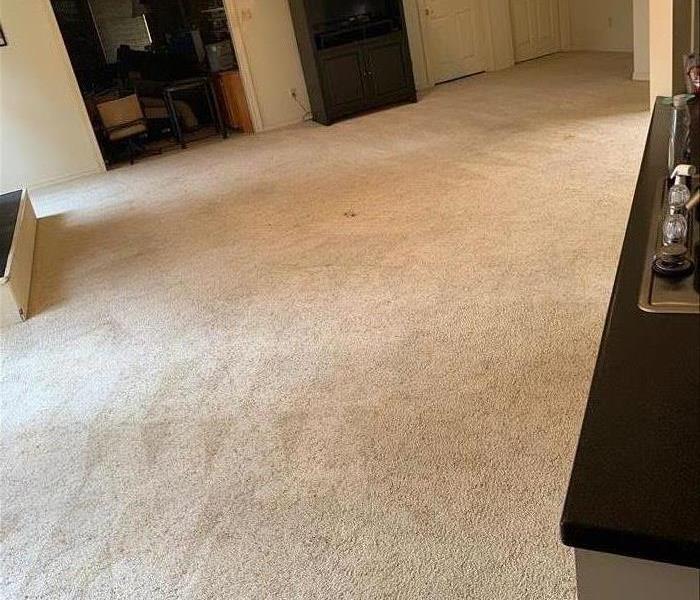A clean and fresh carpet after a cleaning.