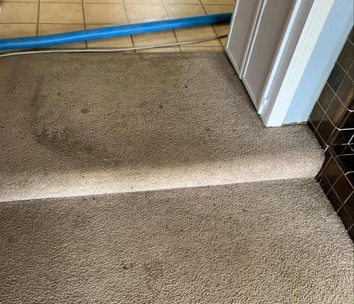 A dirty, stained carpet before a cleaning.
