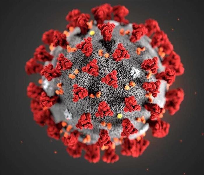 An up close image of the COVID-19 virus