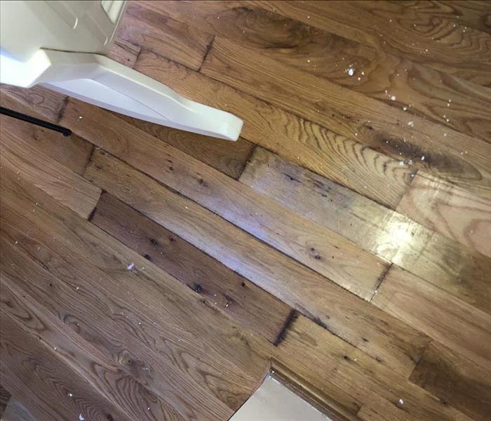 water damaged wood flooring