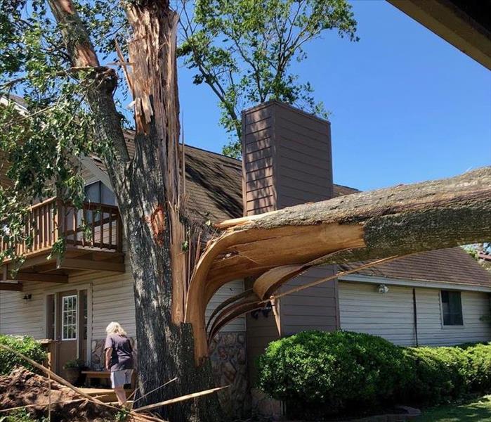 A tree knocked down and split in half in front of a badly damaged home.