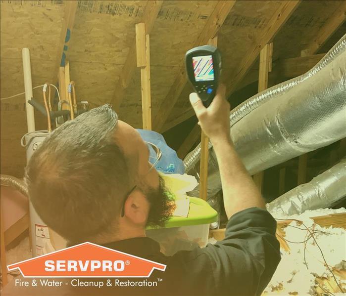 Male SERVPRO employee working in attic area on water damage 