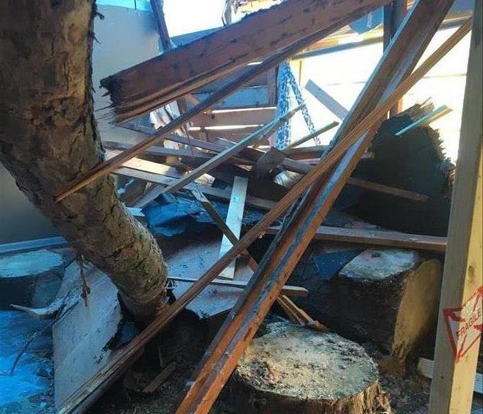 A tree that has crashed through a room during a storm.
